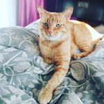 Noah on the bed