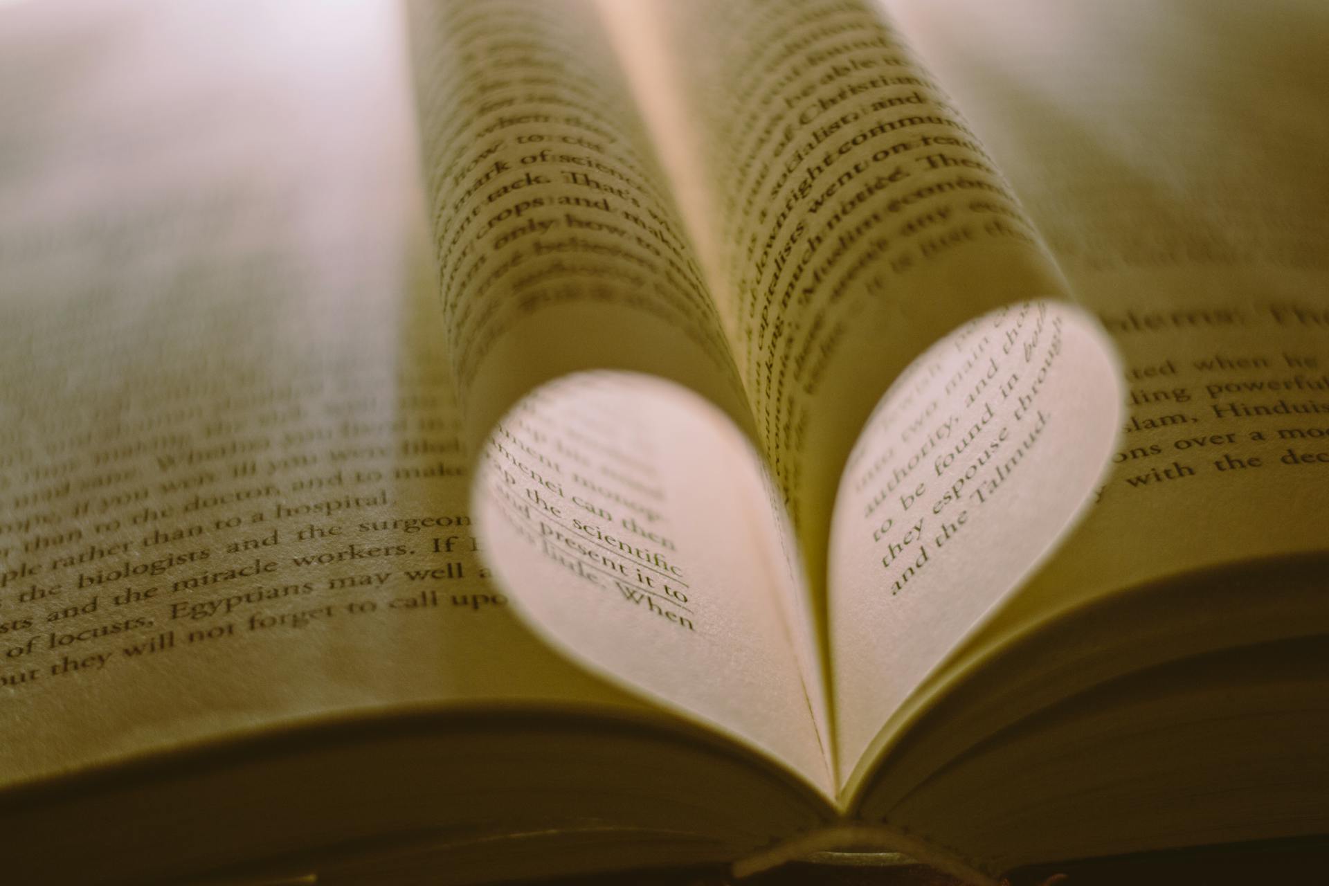 pexels-photo-2877338