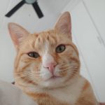 thando up close Up Close and Personal Wake-ups